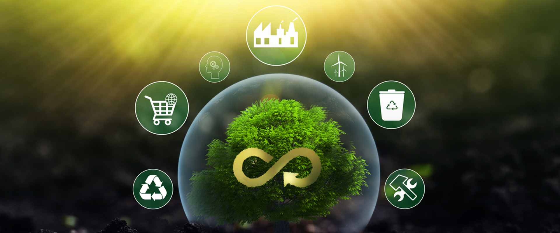 Driving Sustainable Growth: Circular Economy Strategies